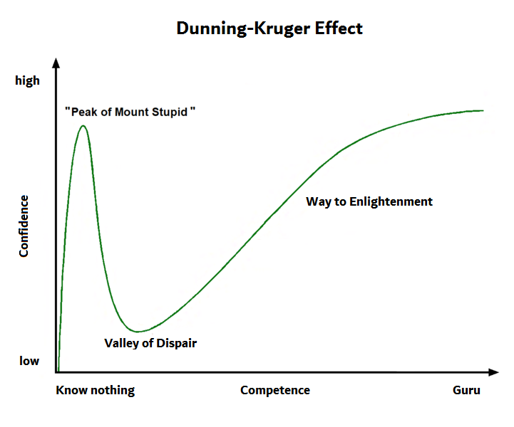 ダニングクルーガー効果の曲線